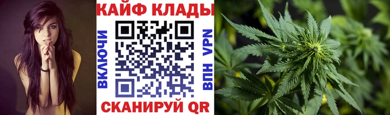 Магазины продажи наркотиков Пустошка Alpha PVP  МЕФ  Канабис  КОКАИН 