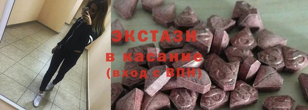 прущие грибы Алзамай