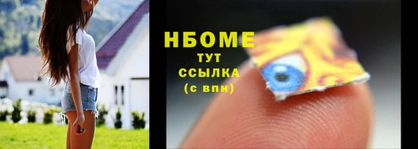 прущие грибы Алзамай
