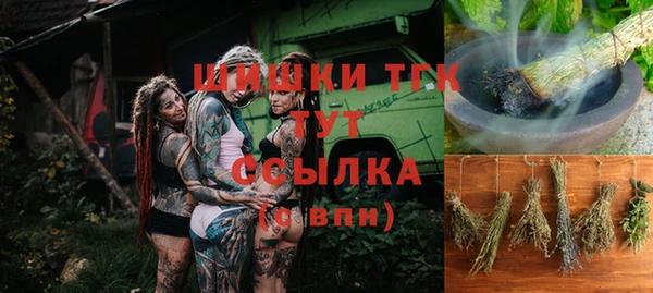 прущие грибы Алзамай