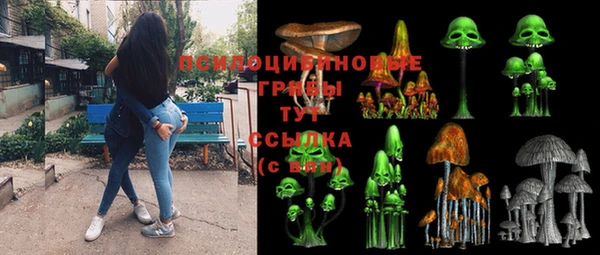 хмурый Алексеевка