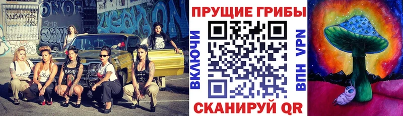 Псилоцибиновые грибы Magic Shrooms  Пустошка 